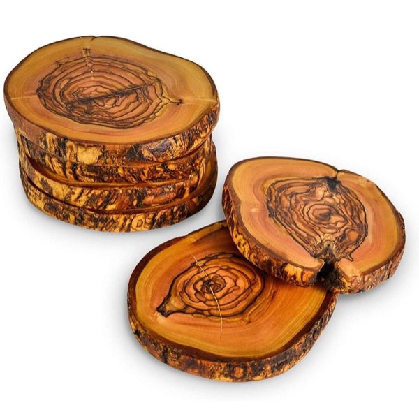 Natural Coaster in Holder